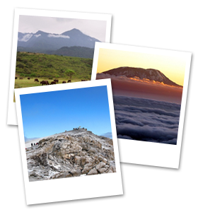 Pictures of Kilimanjaro.png