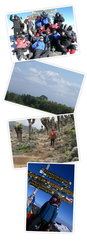 Kilimanjaro Kilimanjaro